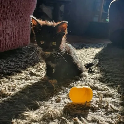 Hi, i'm Söckchen♡ profile