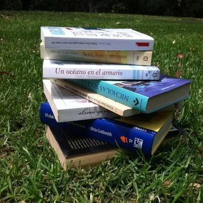Sofamantaylibros profile