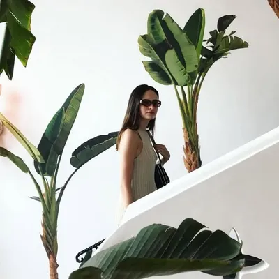 Sofia Espinosa Tcherassi profile