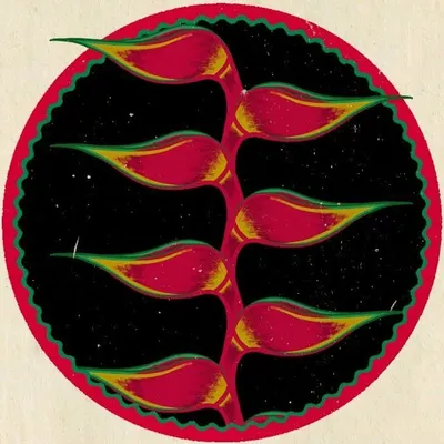 Sofrito Sound profile