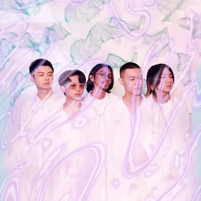 Soft soft pillow (Official) profile