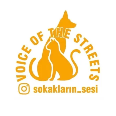 Ertan & Erkan Sahin profile
