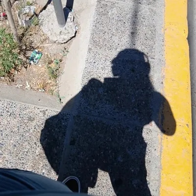 Solange profile