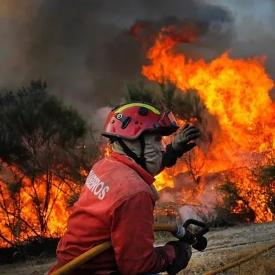 Bombeiros Portugueses profile