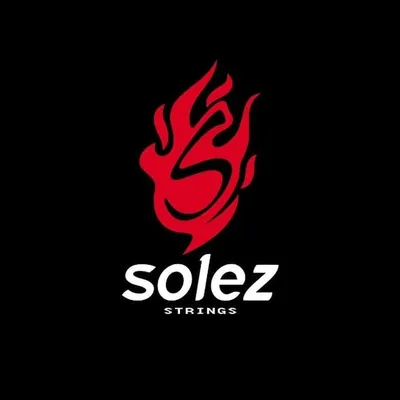Solez Strings ๐ง๐ท profile