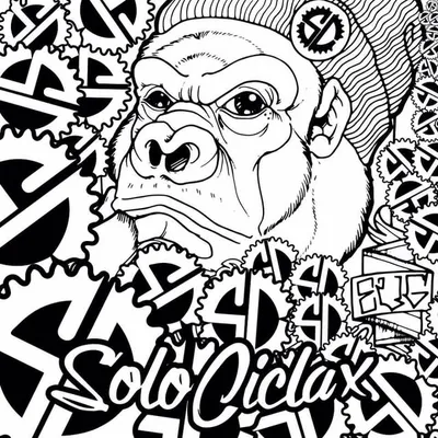 SOLO CICLAX ® profile