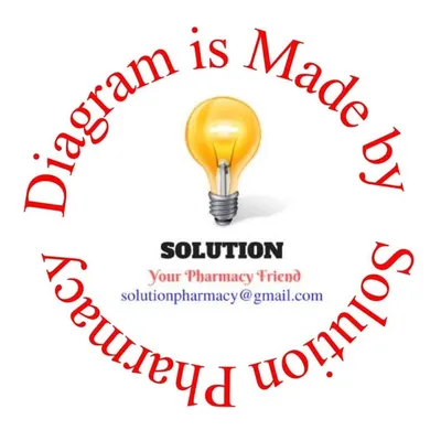 Solution Pharmacy | Bilaspur | Chhattisgarh profile