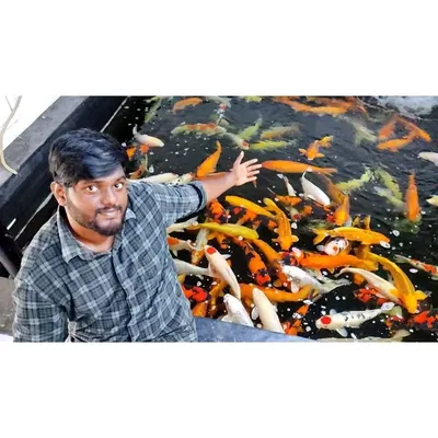 ParthaSarathy profile