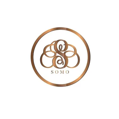 SOMO profile