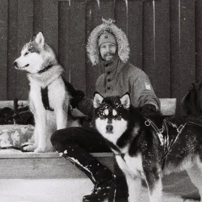 Sondre Forsell - Norway ๐ณ๐ด profile