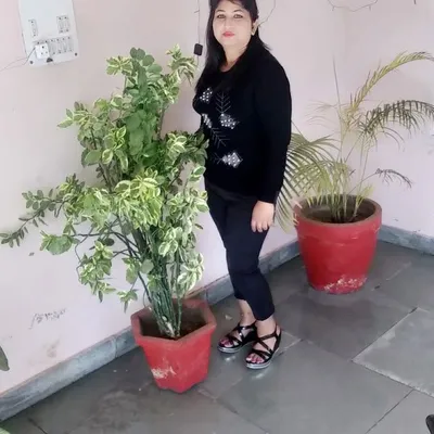 Sonia Mehra profile