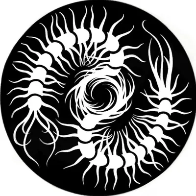 ❖ Dark tattoo artist ❖ profile