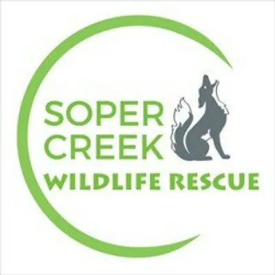 Soper Creek Wildlife Rescue ๐จ๐ฆ profile