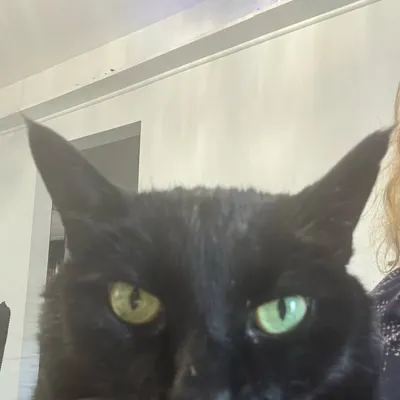 Sophie profile