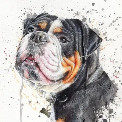 Sophie Leigh Art - Pet Portraits & Animal Art profile