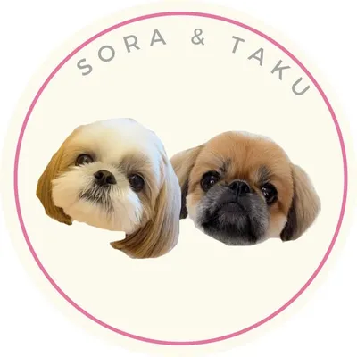 sora ♡ taku profile