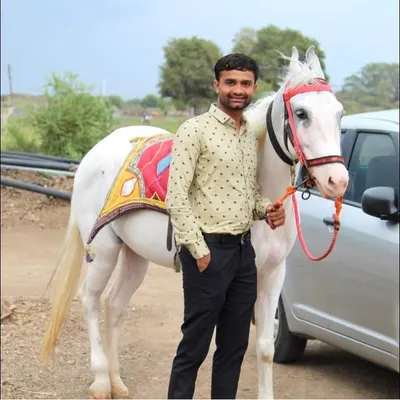 Hardik Sorathiya profile