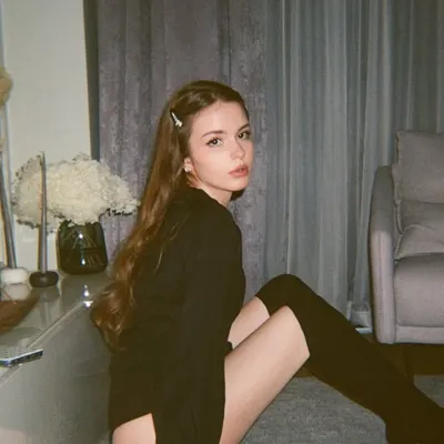 карманная чихуахуа profile