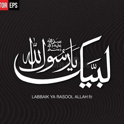 Shaikh ๐ค profile