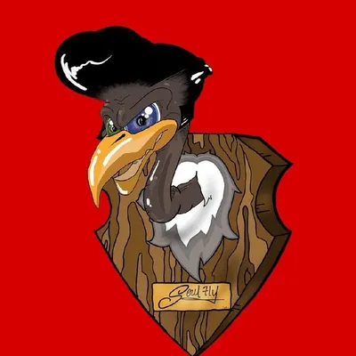 Da Flyest Vulture’s NFT profile