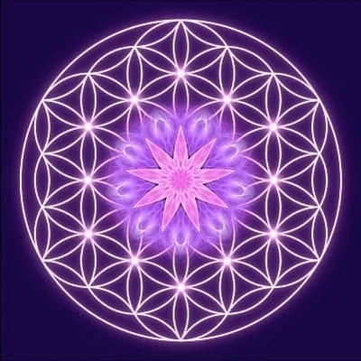 Soul Guidance profile