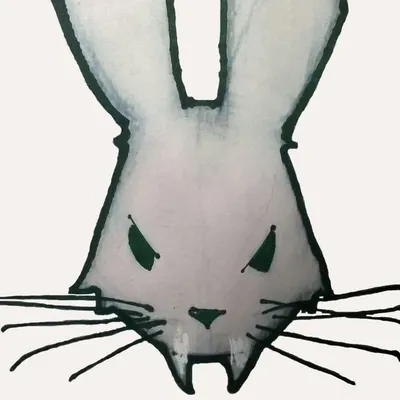 Sourbunny profile