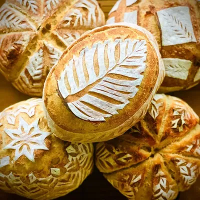 Shannon | Sourdoughgram profile