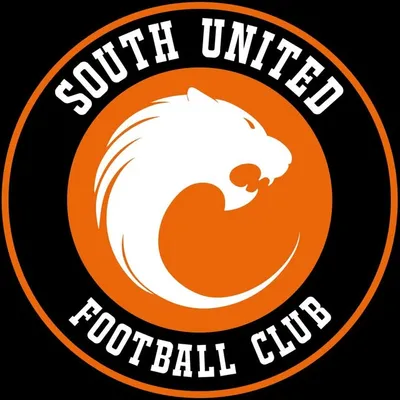 South United Football Club profile