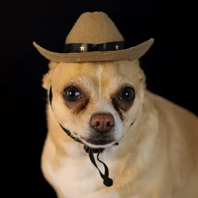 Benito El Regio 🤠 profile