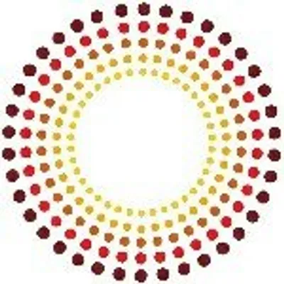 SPARK Reproductive Justice NOW! profile