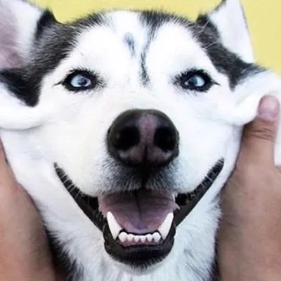 SpecialMush profile