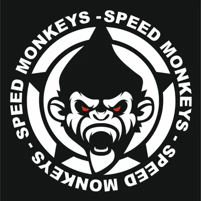 Speed Monkeys® Lackschutz / Folierung / Performance profile