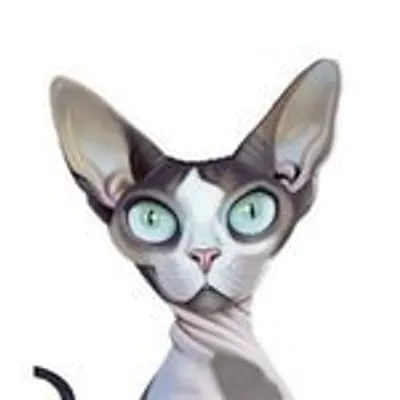 Sphynxlair profile