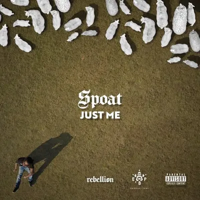 Spizz3000 profile