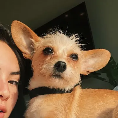 S P O C K profile