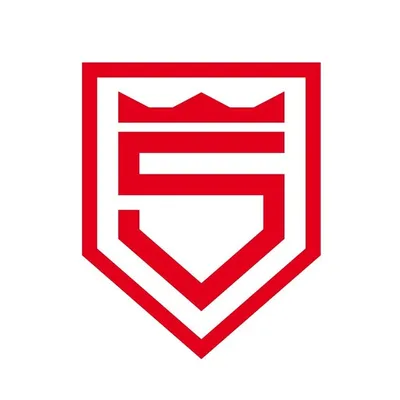 Sportfreunde Siegen profile