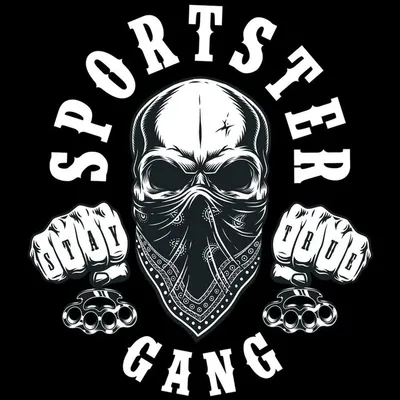 Harley Davidson Gang profile