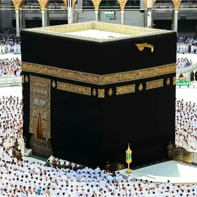 Spread Islam profile