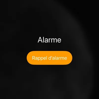 S . P R i N O i R profile