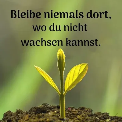 Gefühle, Gedanken profile