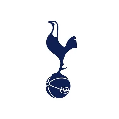 Tottenham Hotspur Instagram profile photo