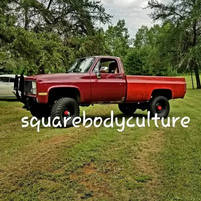 》OFFICIAL SQUAREBODYCULTURE《🇨🇦 profile