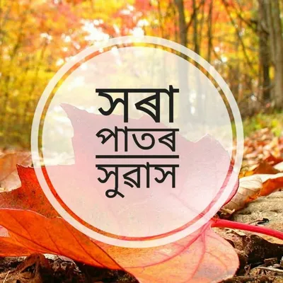 🍁 সৰা পাতৰ সুৱাস🍁 profile