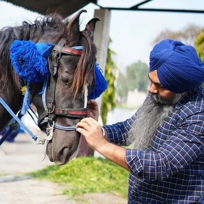 Gurmilap Singh profile