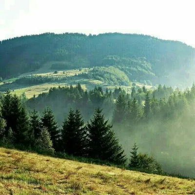 Serbia in pictures profile