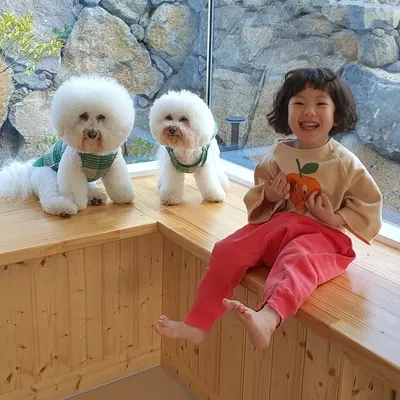 bonjour_soir🐶또군😀 profile