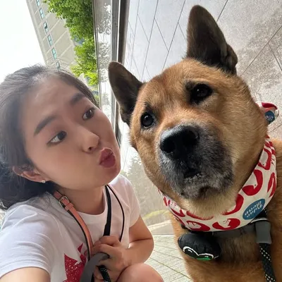 송초코(11살 대왕진돗개Jindo)🍫 profile