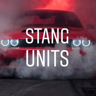 null profile