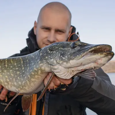 Marko Stankovic SavageGear Serbia profile