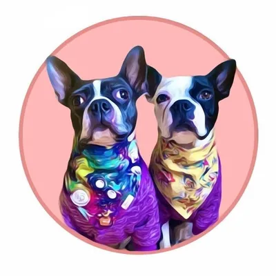 Star⭐️& Skye⛅️ profile